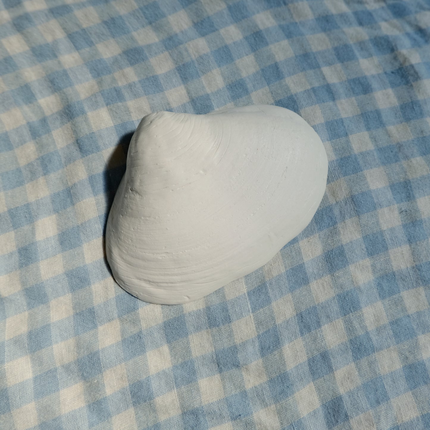 Tide Pool Seashell Trinket Dish