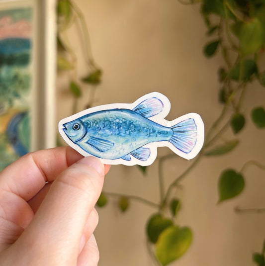 Blue Minnow Sticker